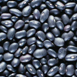 Burke’s-fine-foods-black-beans