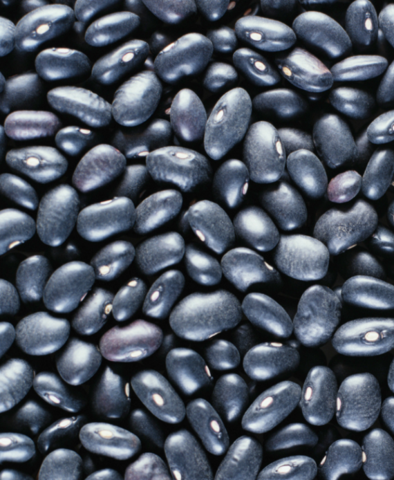 Burke's-fine-foods-black-beans