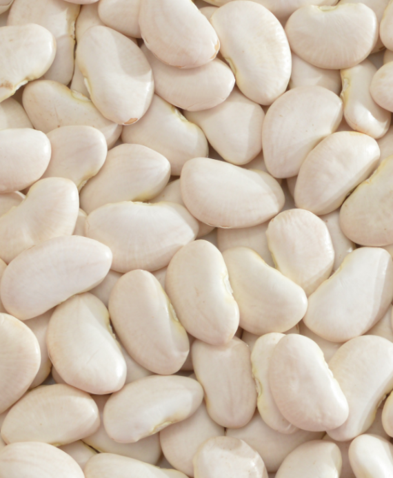 Burke's-fine-foods-lima-beans