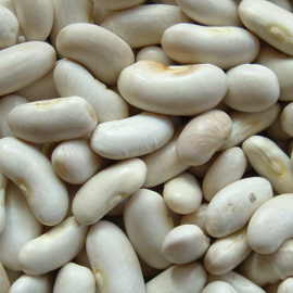 Burke’s-fine-foods-white-kidney-beans