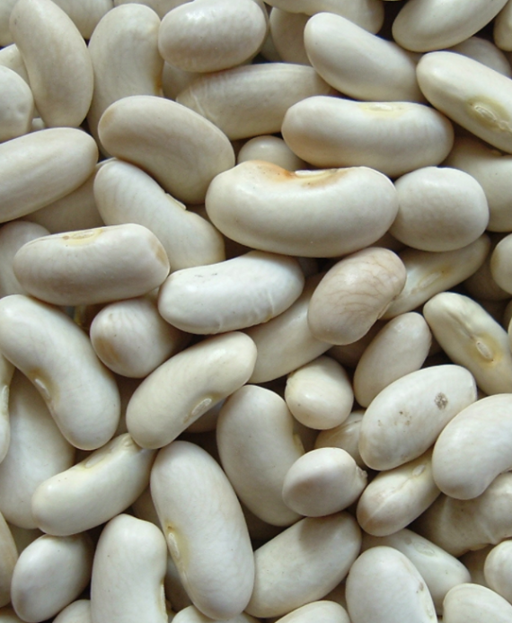 Burkes-fine-foods-white-kidney-beans